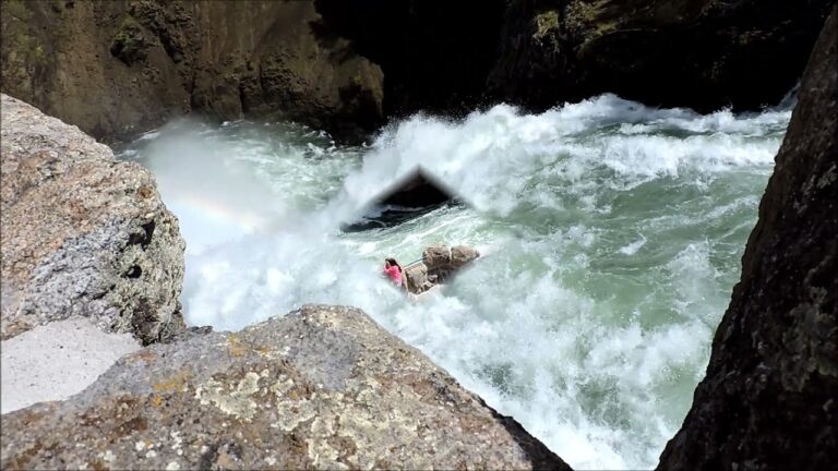 All short video’s from Yellowstone